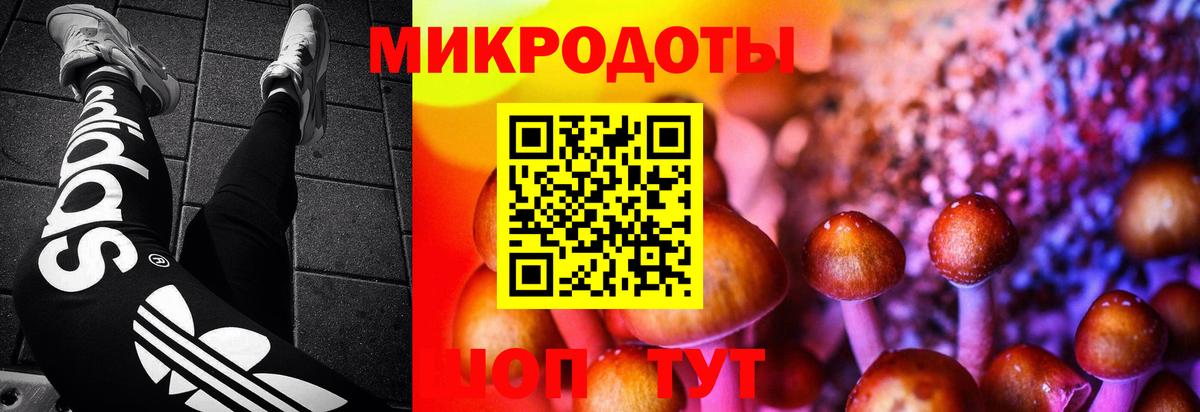 Псилоцибиновые грибы прущие грибы Миасс
